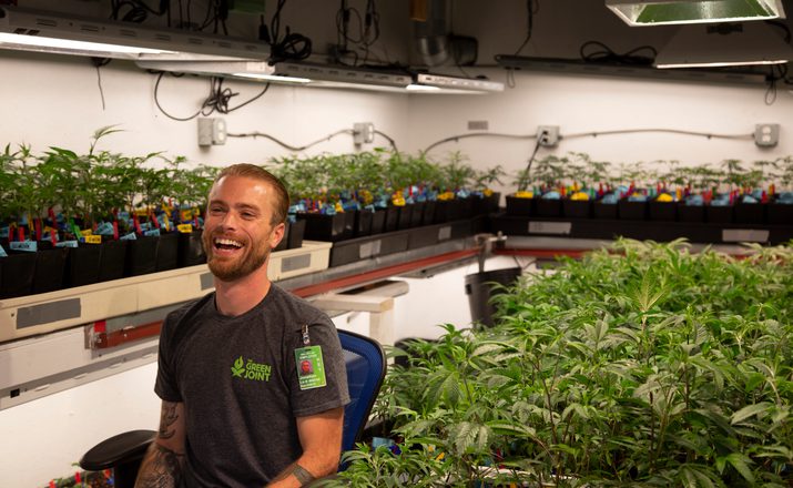 Cannabis caregiver