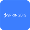 V3 partner springbig 2024 07 12 141906 jwuy