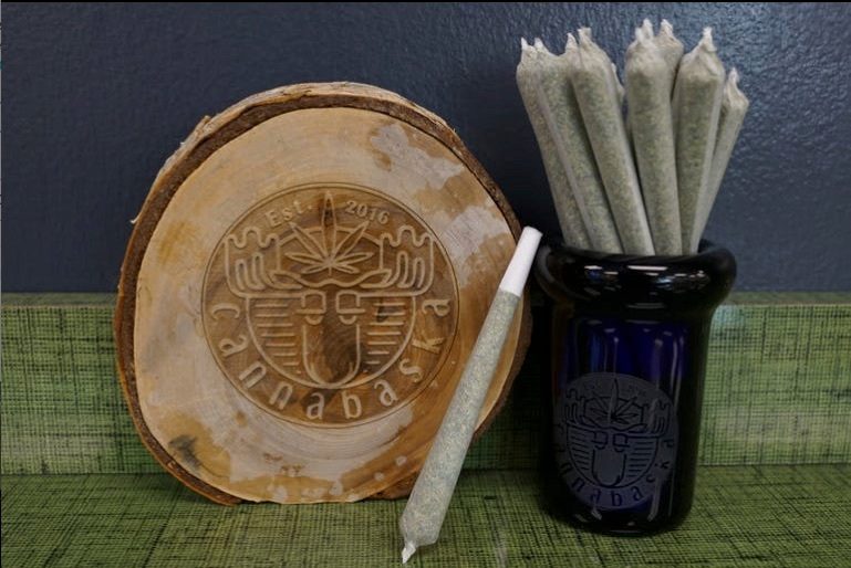 Cannabaska Early Bird Special
