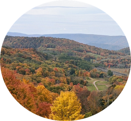 WV