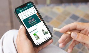 Flowhub ecommerce browse mobile phone