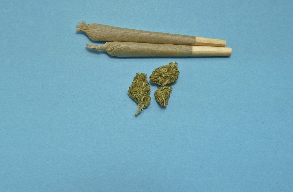 cannabis dispensary products joint