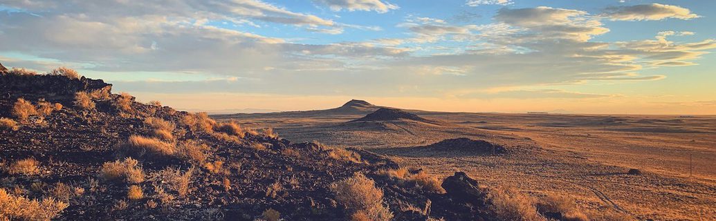 New mexico cannabis pos
